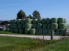 vyrp12_406wrapped_bales_003